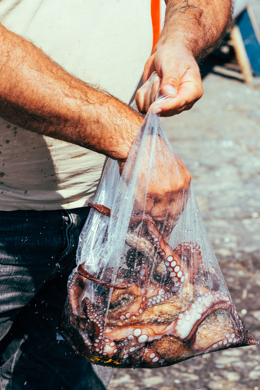 Been Fishing